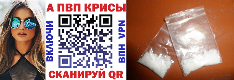 А ПВП СК  закладка  Пошехонье 