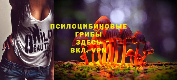 индика Аркадак