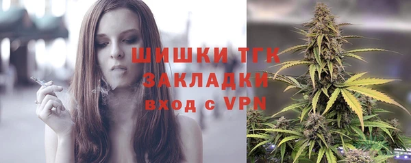 индика Аркадак