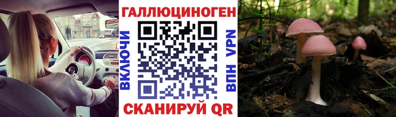Псилоцибиновые грибы прущие грибы  как найти наркотики  Пошехонье 